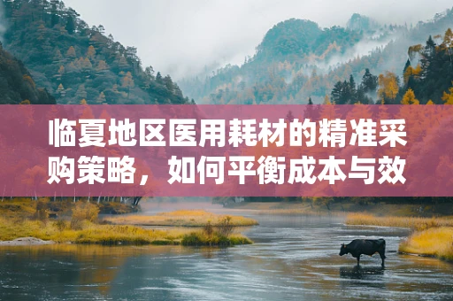 临夏地区医用耗材的精准采购策略，如何平衡成本与效率？