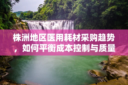 株洲地区医用耗材采购趋势，如何平衡成本控制与质量保障？