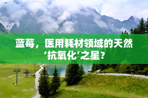 蓝莓，医用耗材领域的天然‘抗氧化’之星？
