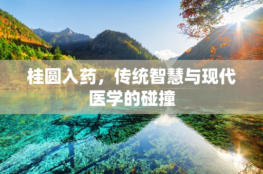 桂圆入药，传统智慧与现代医学的碰撞