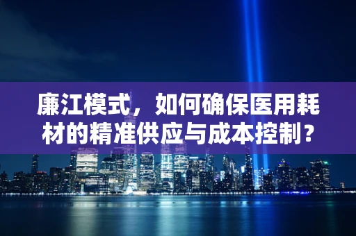 廉江模式，如何确保医用耗材的精准供应与成本控制？